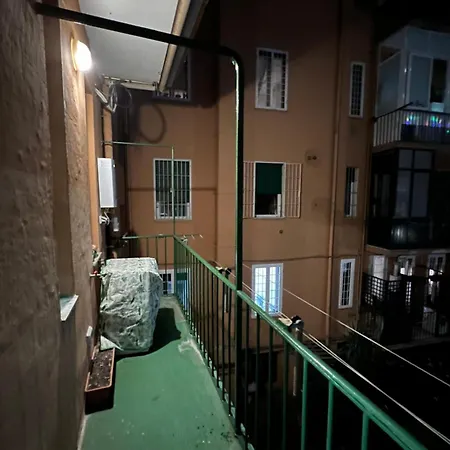 Adorable Close To St Peter