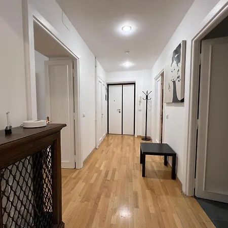 Adorable Close To St Peter